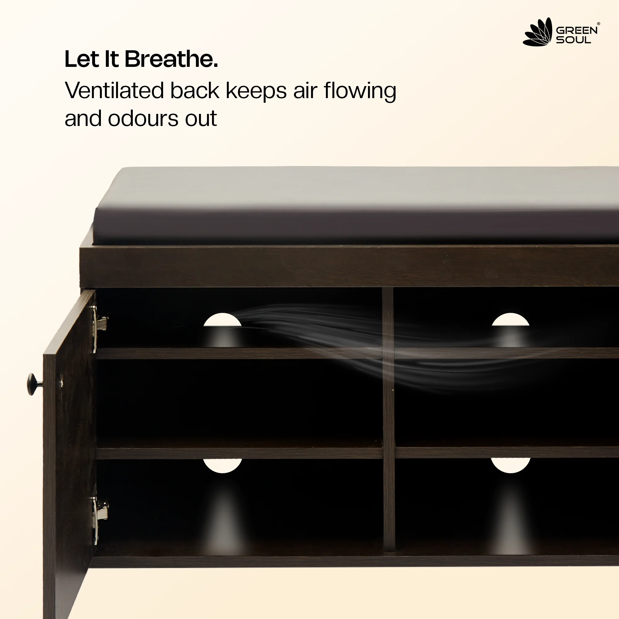 Renewed Fortuna 2-Door Shoe Cabinet - Image 8